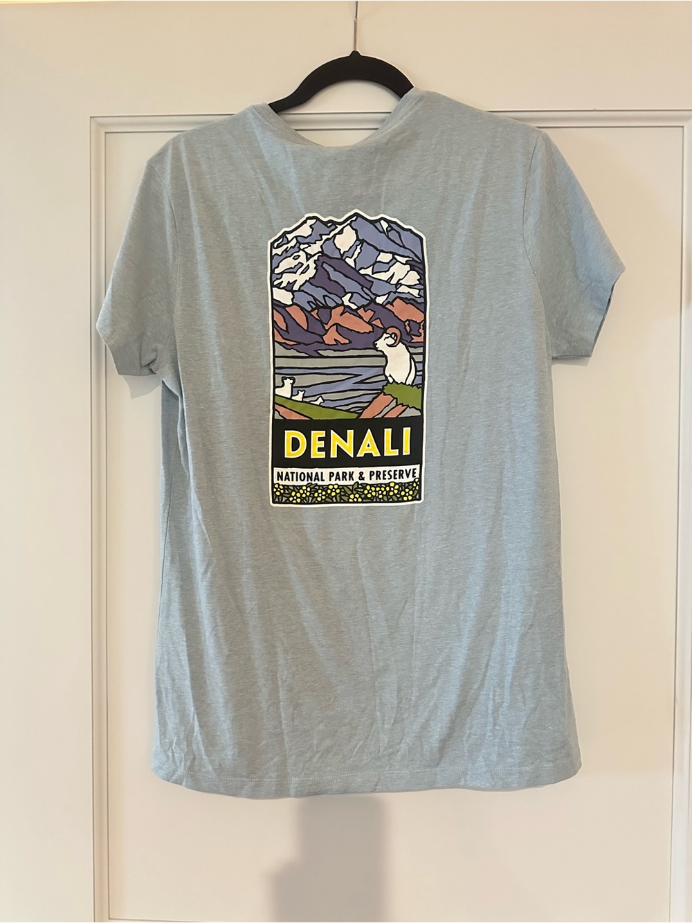Women's Denali National Park V-Neck Short Sleeve Tee